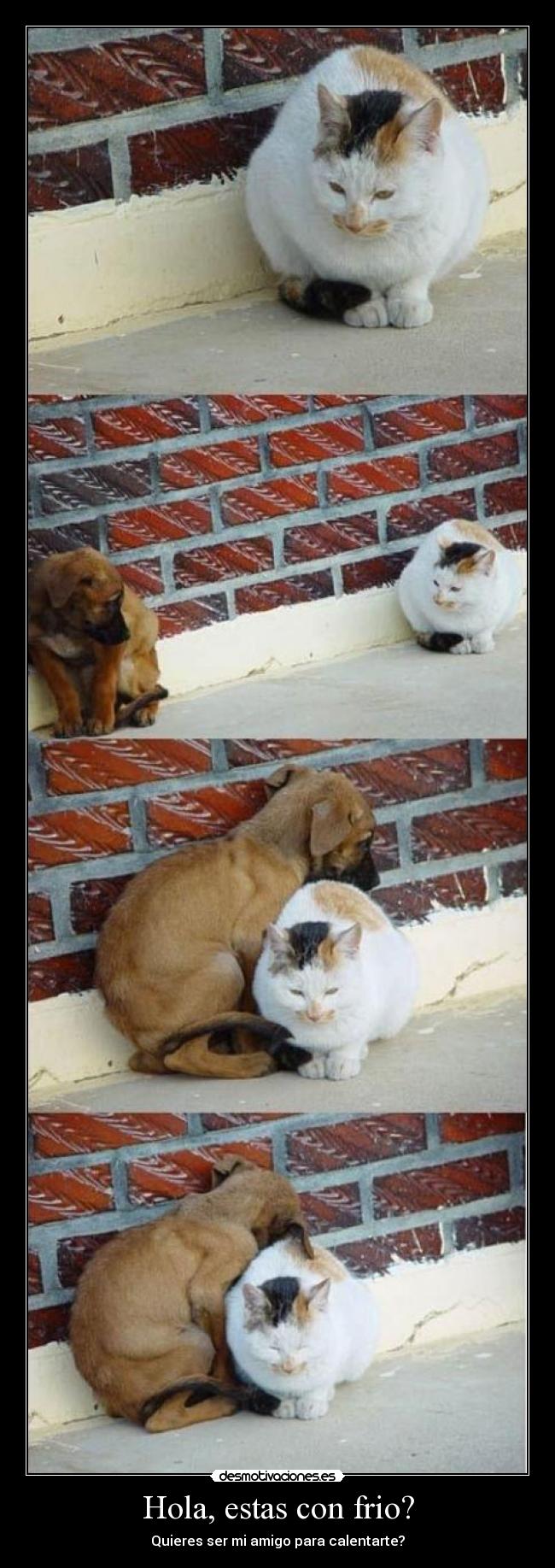 Hola, estas con frio? -