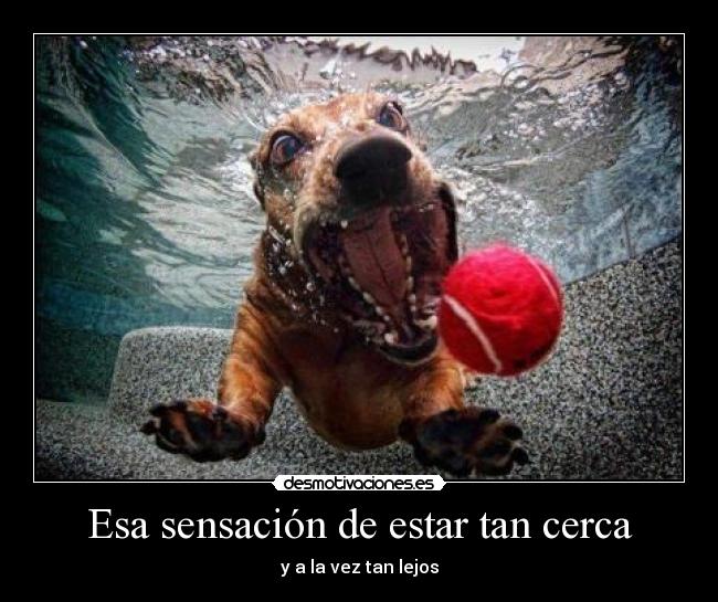 Esa sensación de estar tan cerca - y a la vez tan lejos