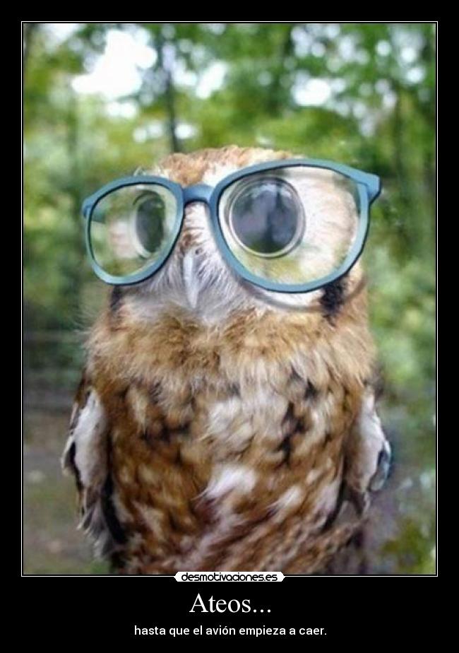 carteles encontraba ninguna imagen asi que dejo con buho que todo desmotivaciones