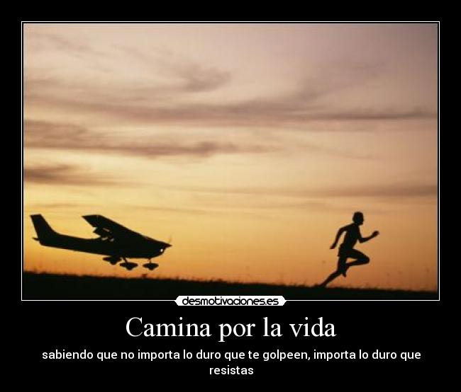 Camina por la vida - sabiendo que no importa lo duro que te golpeen, importa lo duro que resistas