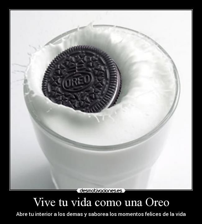 carteles vida vive vida desmotivaciones