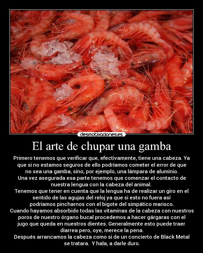 El arte de chupar una gamba -