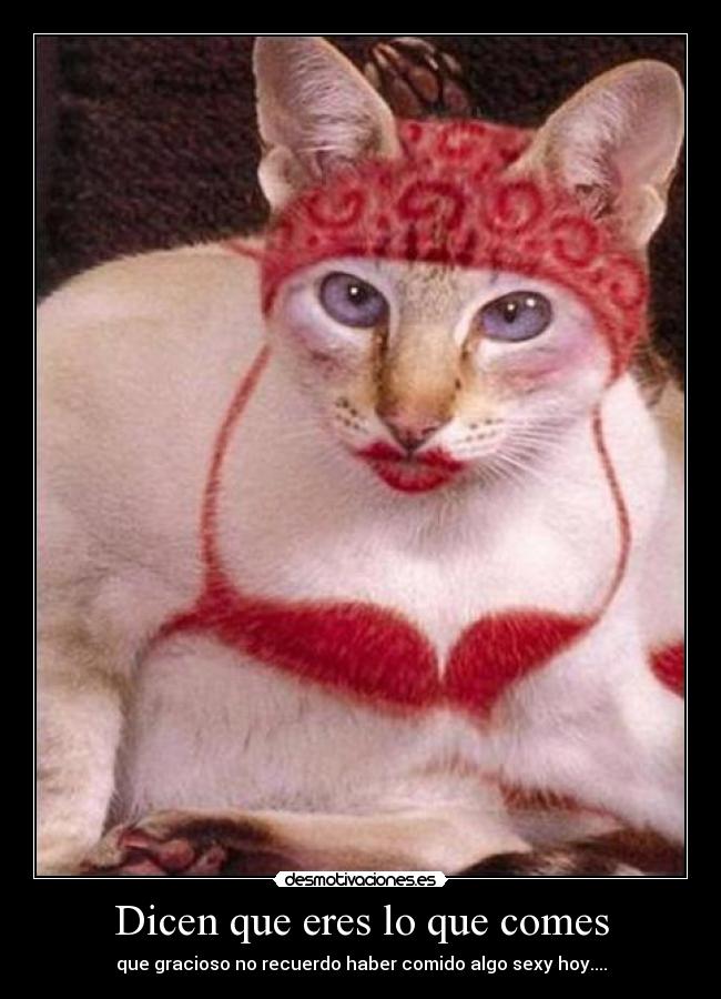 Dicen que eres lo que comes - que gracioso no recuerdo haber comido algo sexy hoy....