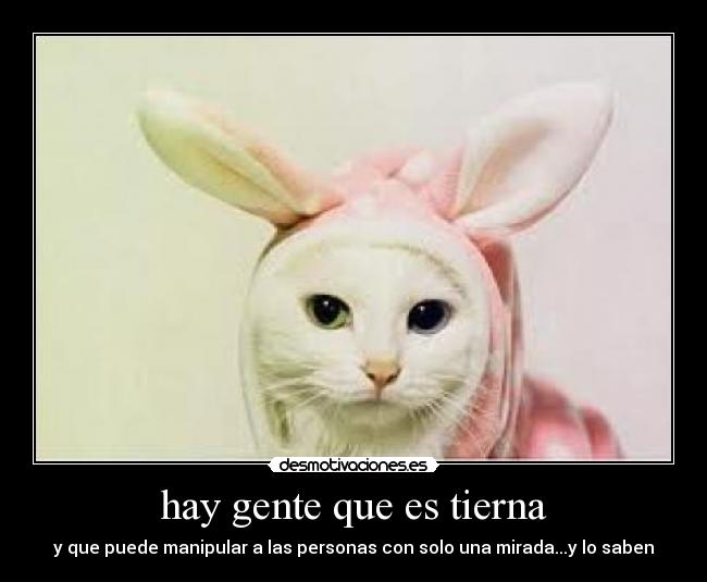 hay gente que es tierna - 