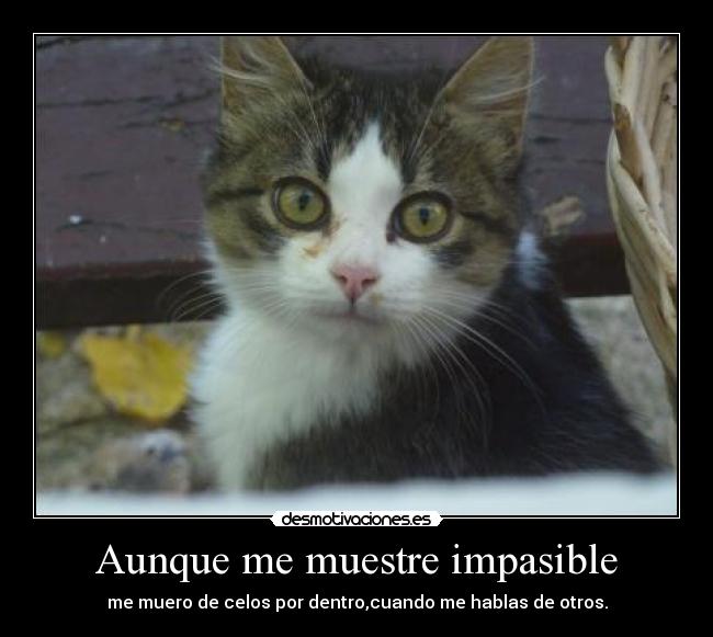 Aunque me muestre impasible - me muero de celos por dentro,cuando me hablas de otros.