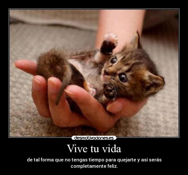Vive tu vida - 