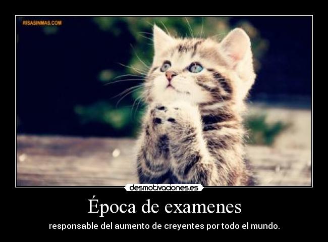 Época de examenes - 