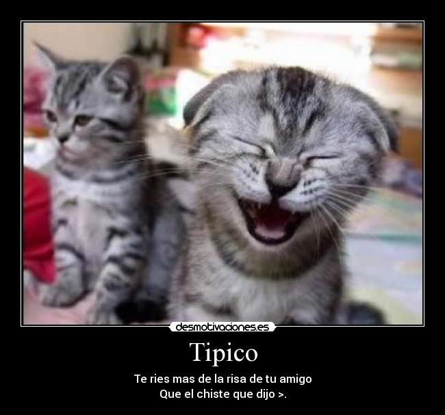 Tipico - Te ries mas de la risa de tu amigo
Que el chiste que dijo >.