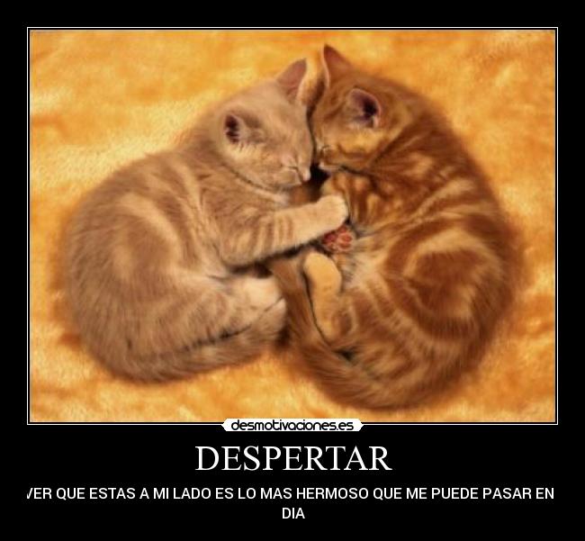 DESPERTAR - Y VER QUE ESTAS A MI LADO ES LO MAS HERMOSO QUE ME PUEDE PASAR EN EL
DIA