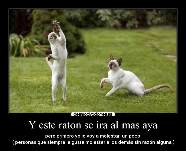 Y este raton se ira al mas aya -