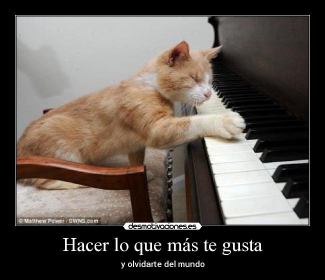 Hacer lo que más te gusta -