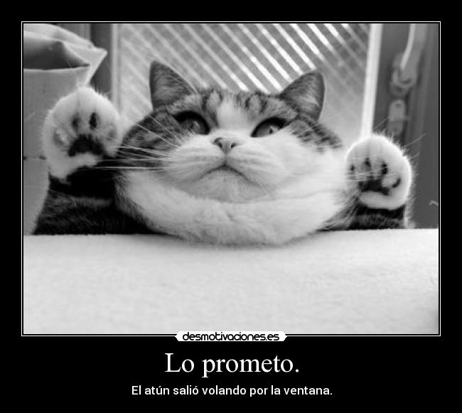 Lo prometo. - El atún salió volando por la ventana.