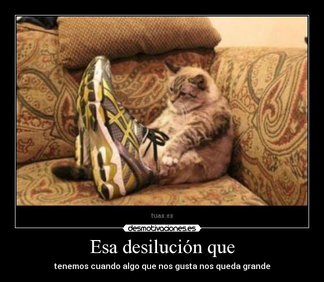 Esa desilución que -