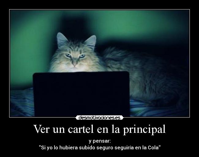 carteles hubiera subido seguro seguiria cola desmotivaciones