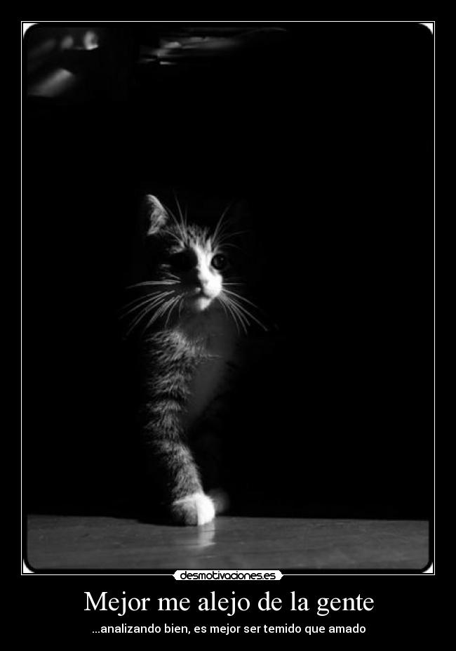 Mejor me alejo de la gente - ...analizando bien, es mejor ser temido que amado