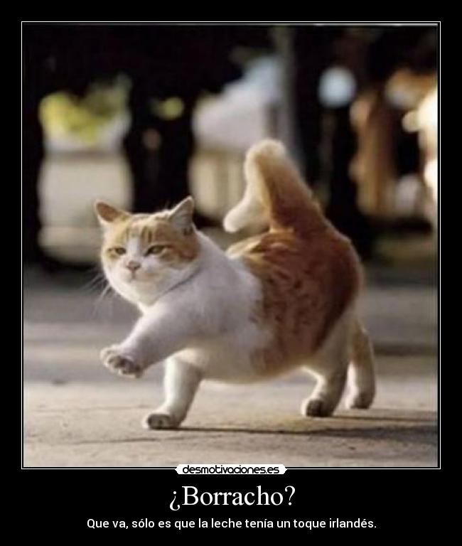 carteles este walt que tomado cafe korsa xddddddd clanhumor jason desmotivaciones