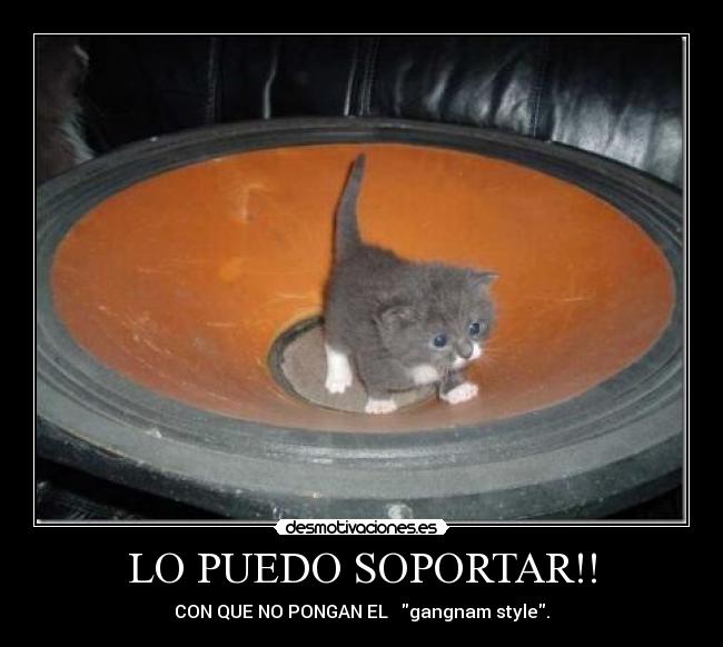 LO PUEDO SOPORTAR!! - 