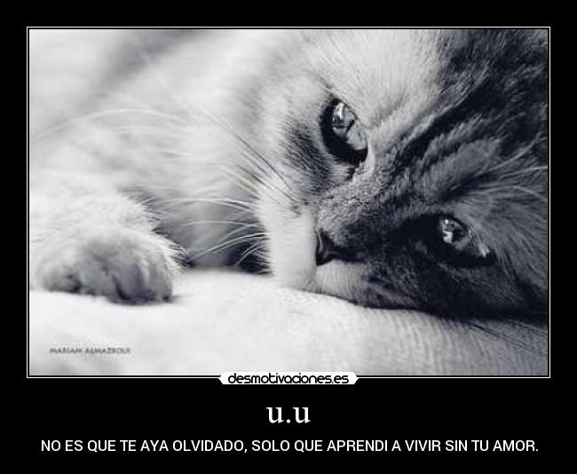 u.u - NO ES QUE TE AYA OLVIDADO, SOLO QUE APRENDI A VIVIR SIN TU AMOR.