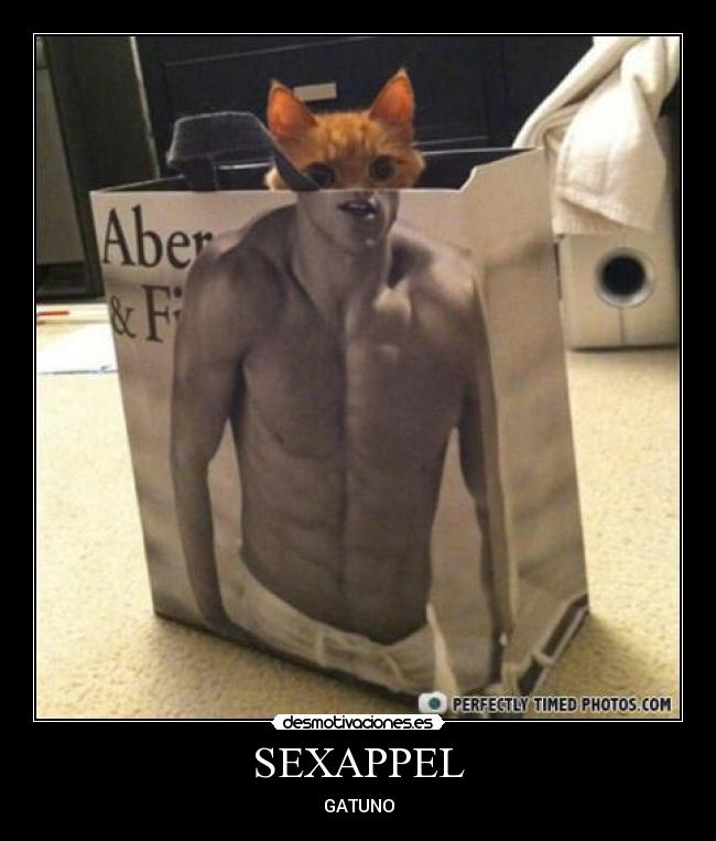 SEXAPPEL - GATUNO