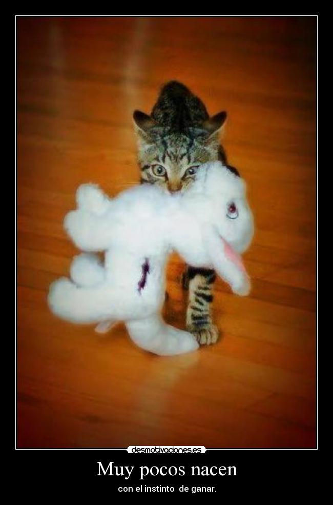 Muy pocos nacen - con el instinto  de ganar.
