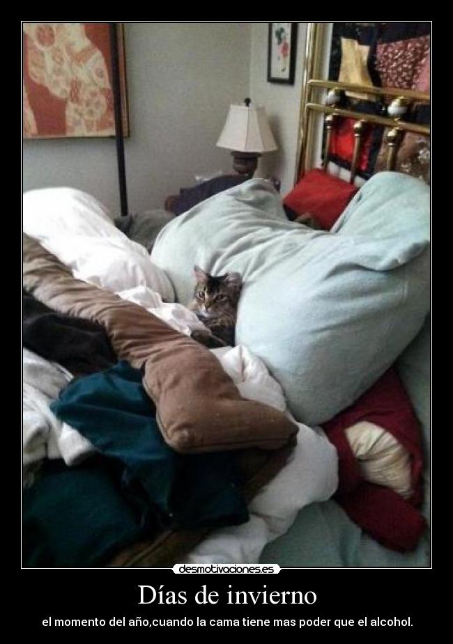 Días de invierno - el momento del año,cuando la cama tiene mas poder que el alcohol.