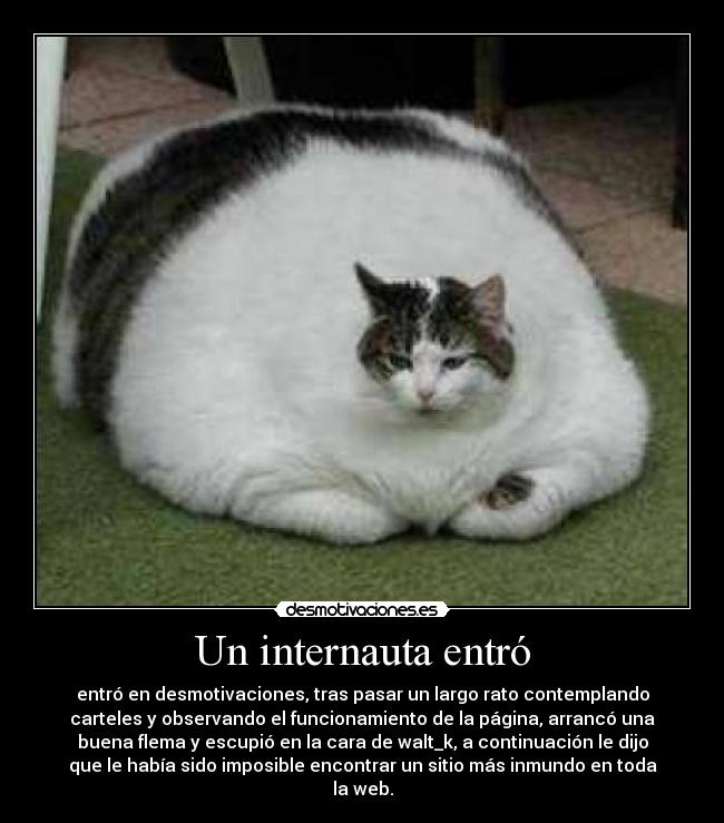 Un internauta entró - entró en desmotivaciones, tras pasar un largo rato contemplando
carteles y observando el funcionamiento de la página, arrancó una
buena flema y escupió en la cara de walt_k, a continuación le dijo
que le había sido imposible encontrar un sitio más inmundo en toda
la web.