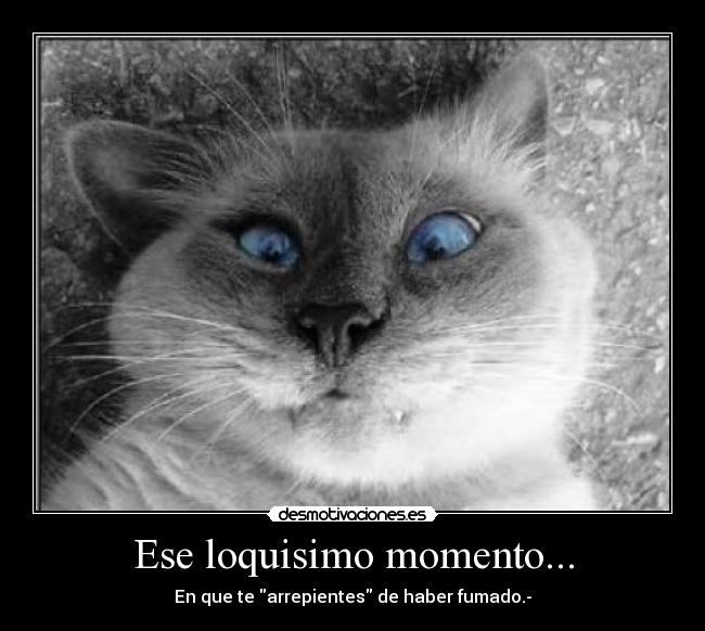 Ese loquisimo momento... -