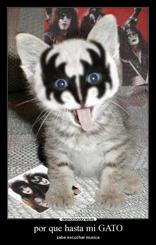 carteles kisscat desmotivaciones