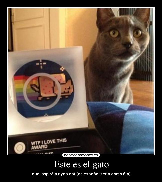 Este es el gato -