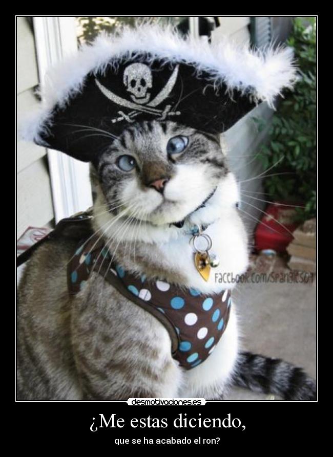 ¿Me estas diciendo, - que se ha acabado el ron?