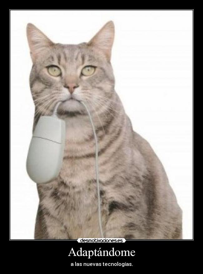 Adaptándome -
