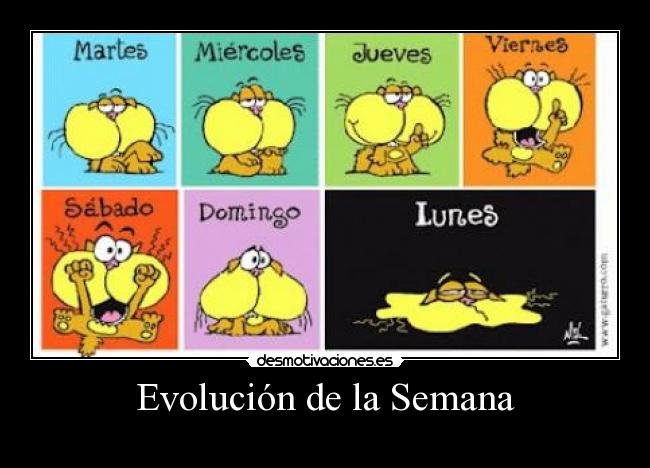 Evolución de la Semana - 