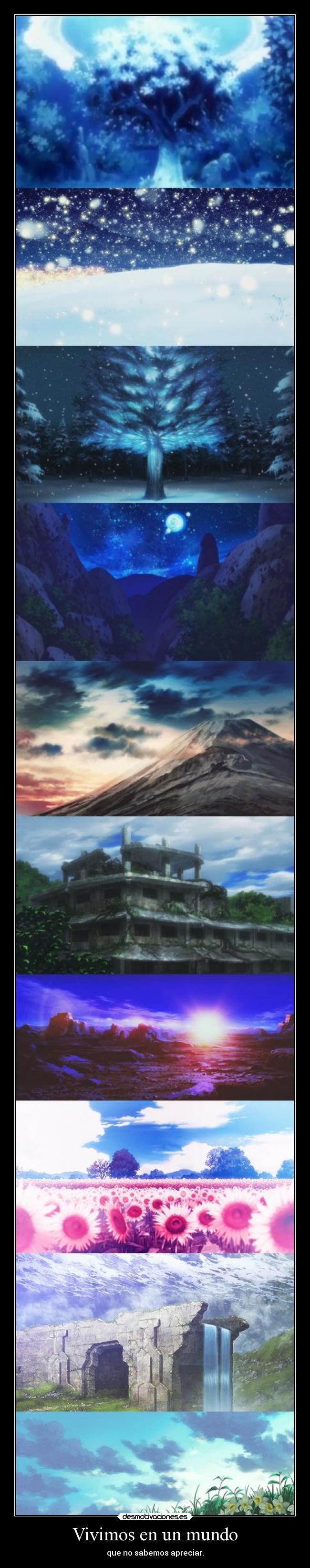 Vivimos en un mundo - que no sabemos apreciar.