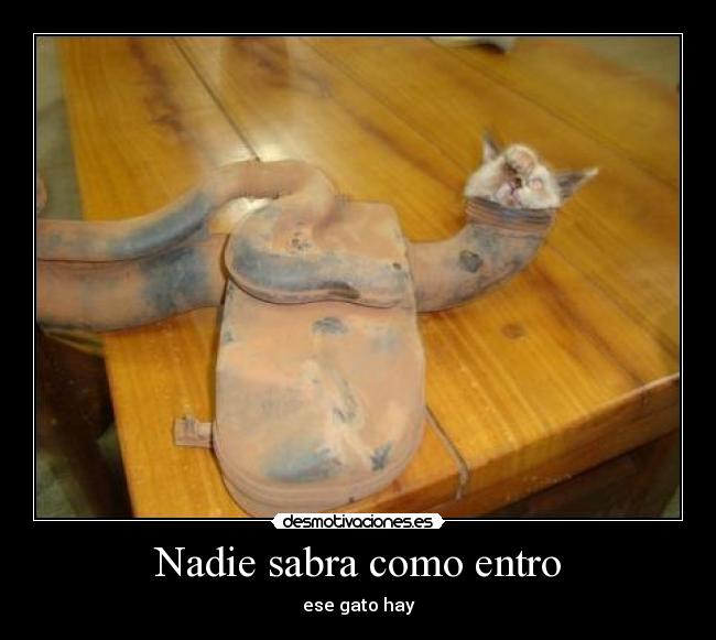 Nadie sabra como entro - 