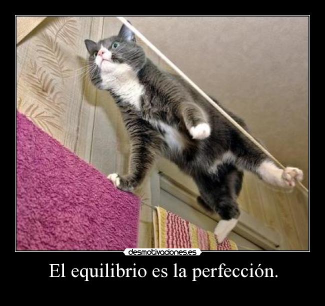 El equilibrio es la perfección. -