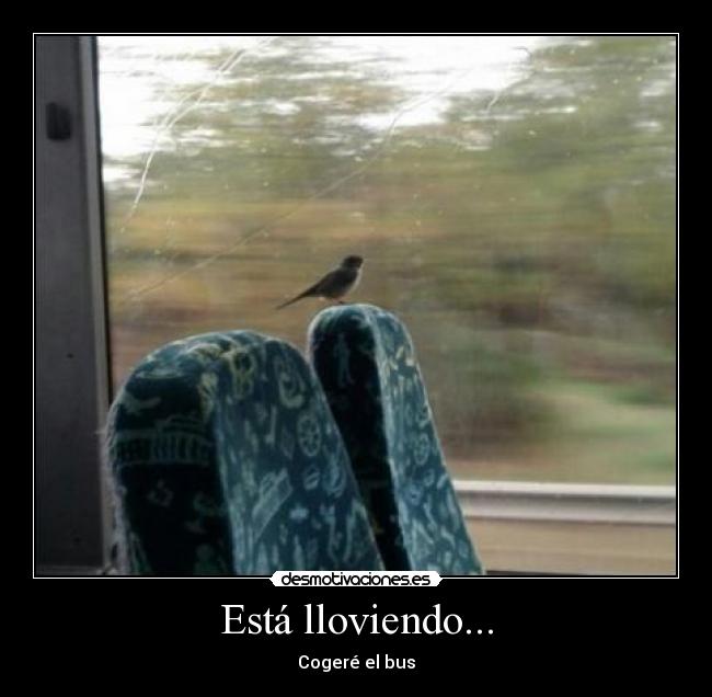 Está lloviendo... -