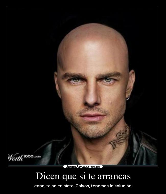 carteles una cana para calvo desmotivaciones