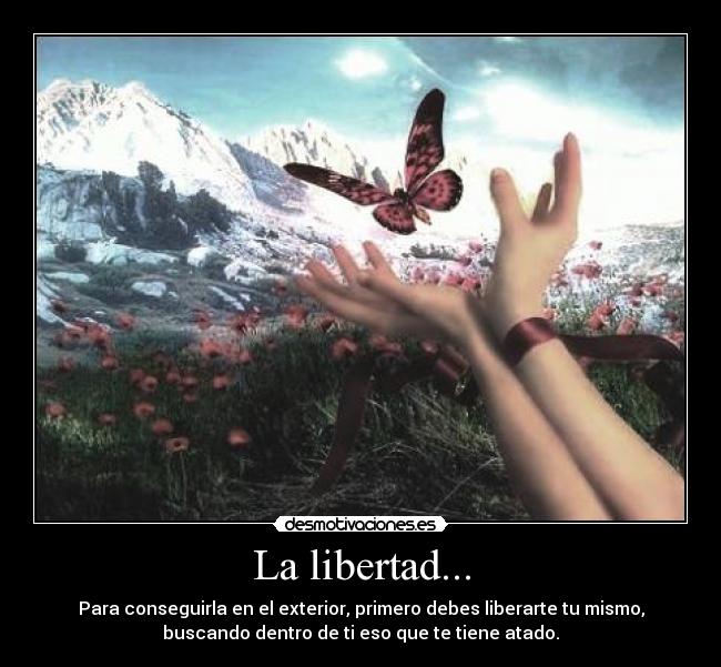 La libertad... - Para conseguirla en el exterior, primero debes liberarte tu mismo,
buscando dentro de ti eso que te tiene atado.