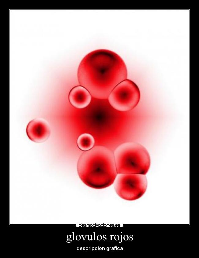 glovulos rojos - descripcion grafica