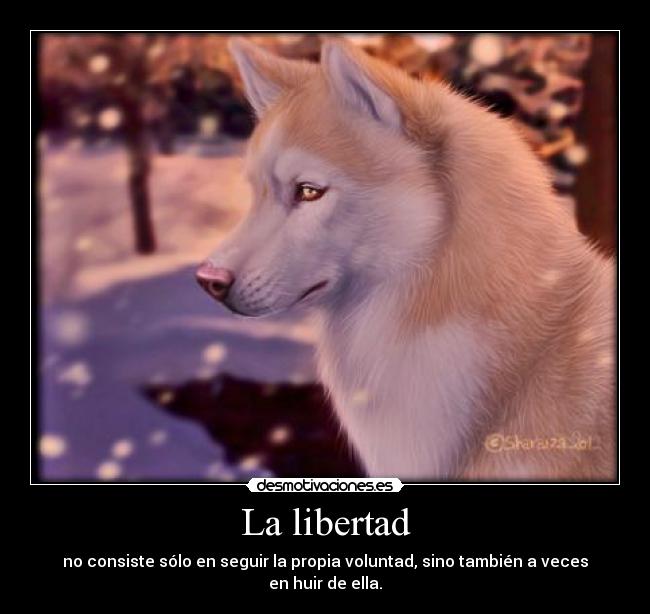 La libertad - no consiste sólo en seguir la propia voluntad, sino también a veces en huir de ella.