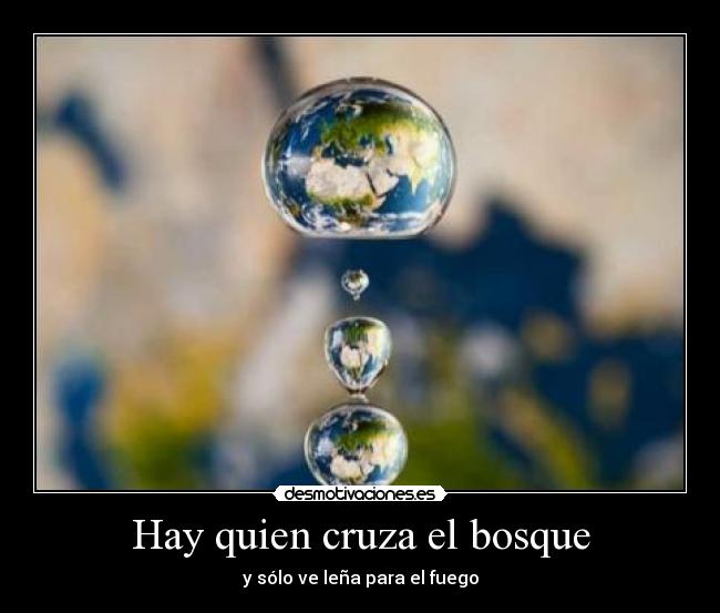 Hay quien cruza el bosque -