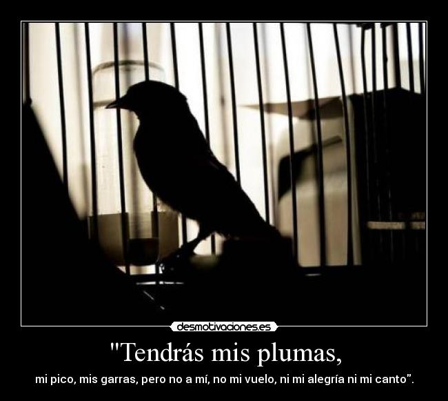 Tendrás mis plumas, - mi pico, mis garras, pero no a mí, no mi vuelo, ni mi alegría ni mi canto.