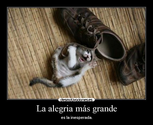 La alegria más grande - es la inesperada.