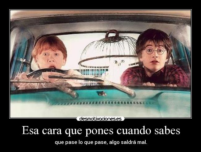 Esa cara que pones cuando sabes - que pase lo que pase, algo saldrá mal.