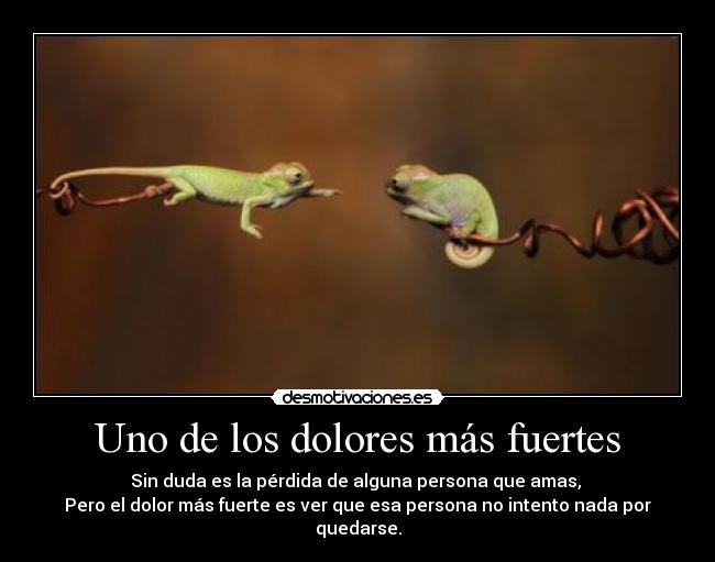 Uno de los dolores más fuertes - Sin duda es la pérdida de alguna persona que amas,
Pero el dolor más fuerte es ver que esa persona no intento nada por quedarse.
