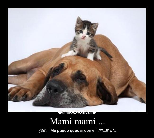 Mami mami ... - ¿Si?.....Me puedo quedar con el ...??...!!^w^..