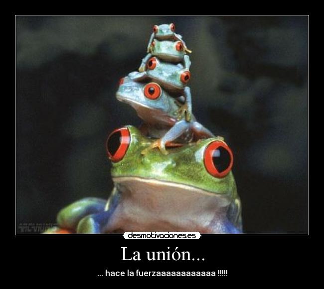 La unión... - ... hace la fuerzaaaaaaaaaaaa !!!!!