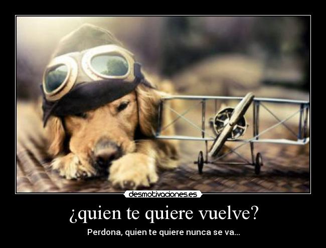¿quien te quiere vuelve? -