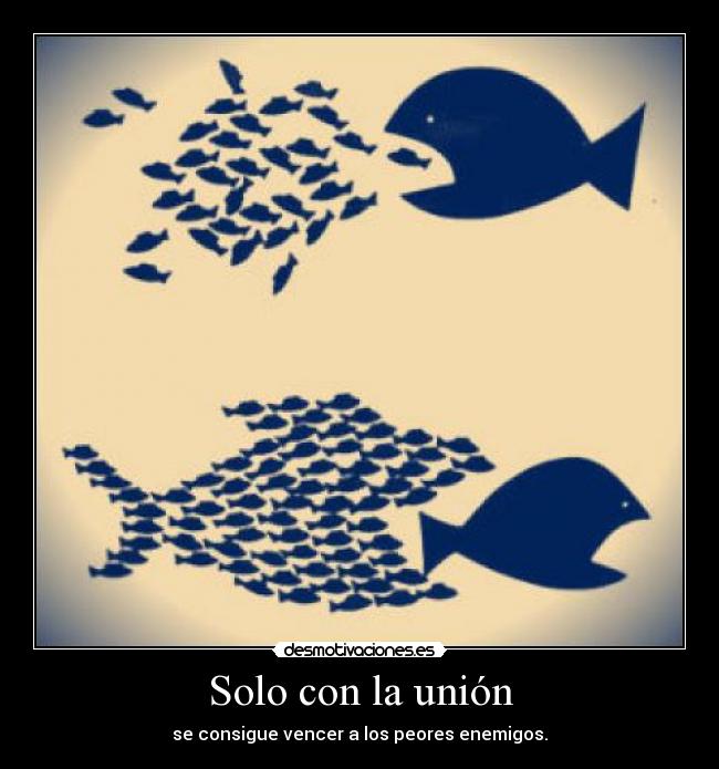 Solo con la unión -