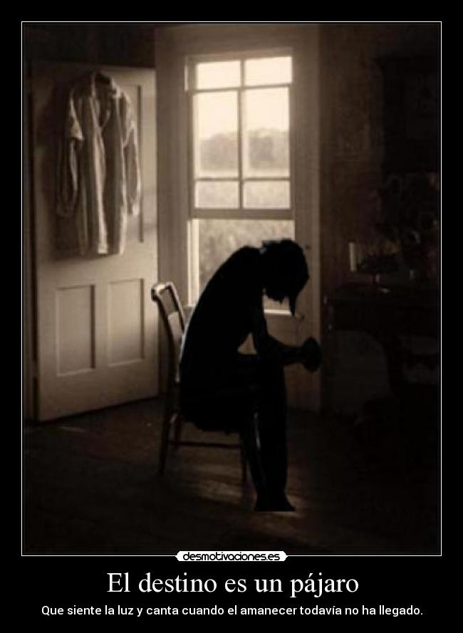 El destino es un pájaro - Que siente la luz y canta cuando el amanecer todavía no ha llegado.